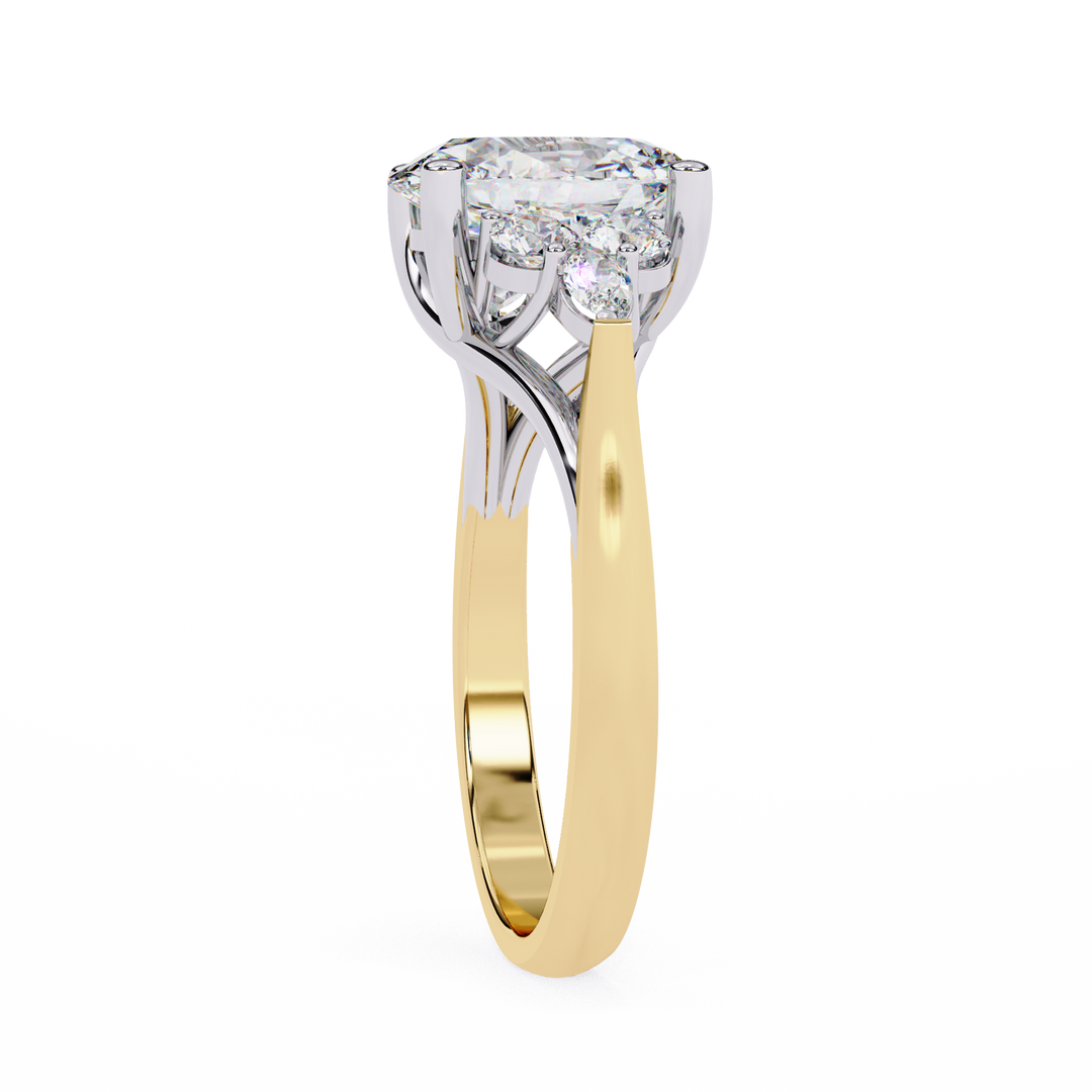 The Halo Ring