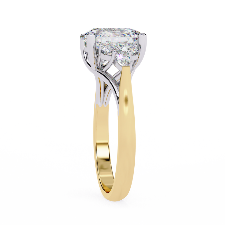 The Halo Ring