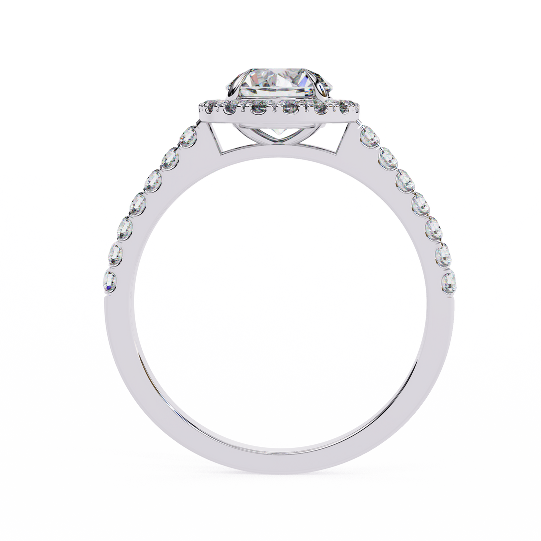 The Solis Ring